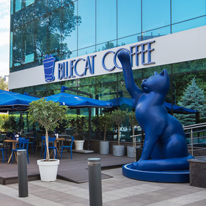 Кофейня Blue Cat в Алматы